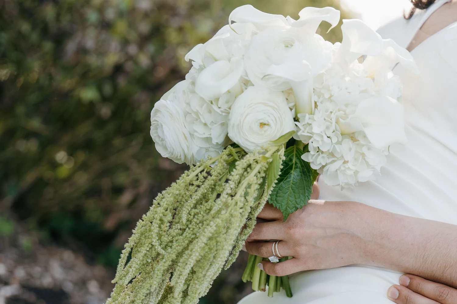 Close-up of a white calla lily, ranunculus and hydrangea bridal bouquet with trailing green amaranthus