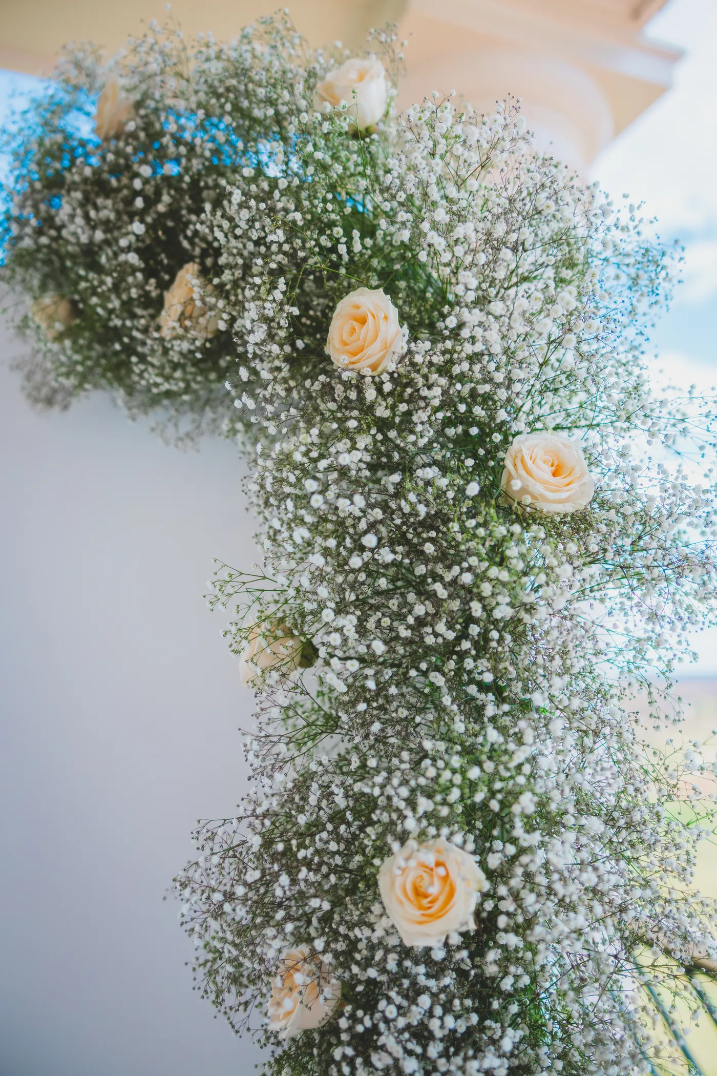 Baby's breath and garden rose arch detail at an Arlington VA wedding
